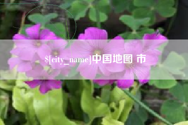 韶关中国地图 市