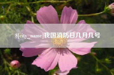 韶关我国消防日几月几号