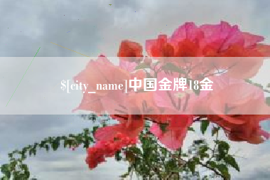 韶关中国金牌18金