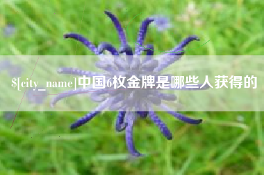 韶关中国6枚金牌是哪些人获得的