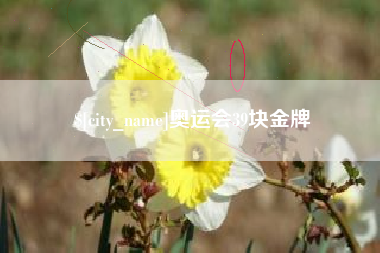 韶关奥运会39块金牌