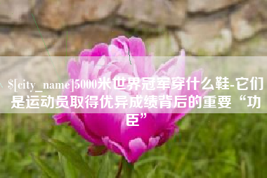 韶关5000米世界冠军穿什么鞋-它们是运动员取得优异成绩背后的重要“功臣”