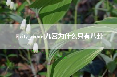 韶关九宫为什么只有八卦