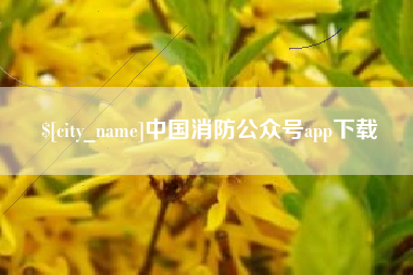 韶关中国消防公众号app下载
