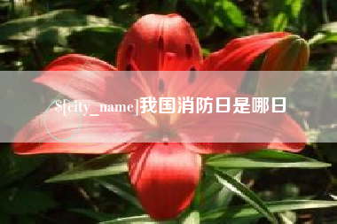 韶关我国消防日是哪日