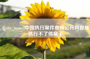 韶关中国执行案件查询公开网都是执行不了得案子