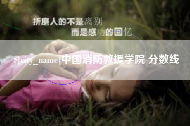 韶关中国消防救援学院 分数线