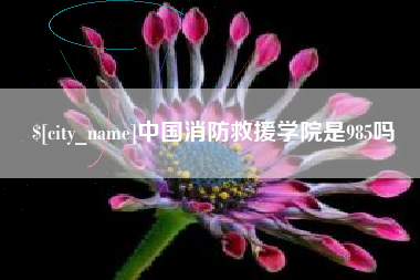 韶关中国消防救援学院是985吗