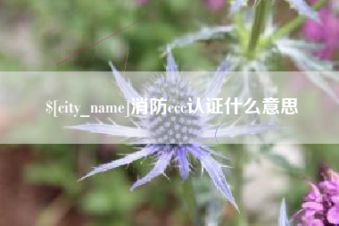 韶关消防ccc认证什么意思