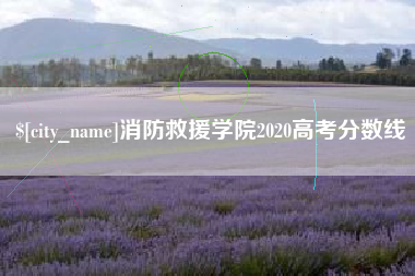 韶关消防救援学院2020高考分数线