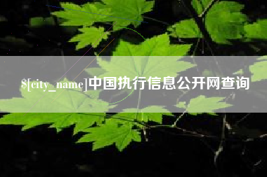 韶关中国执行信息公开网查询