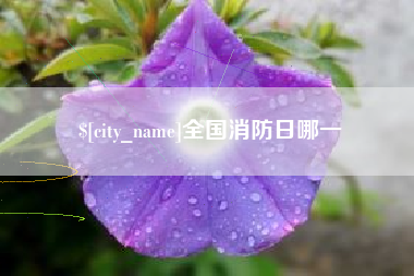 韶关全国消防日哪一