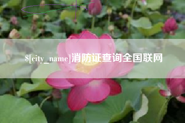 韶关消防证查询全国联网