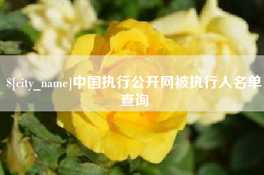 韶关中国执行公开网被执行人名单查询