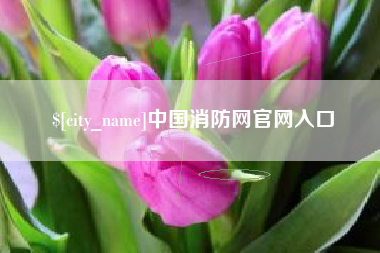 韶关中国消防网官网入口