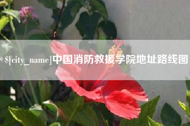 韶关中国消防救援学院地址路线图
