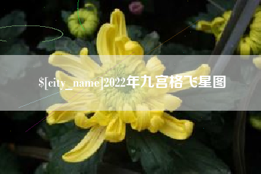 韶关2022年九宫格飞星图