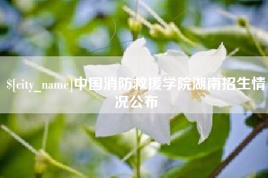 韶关中国消防救援学院湖南招生情况公布