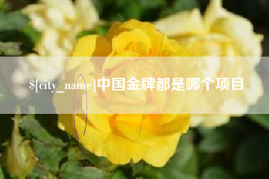 韶关中国金牌都是哪个项目