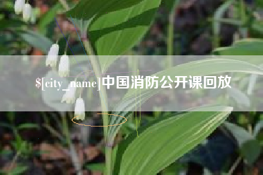 韶关中国消防公开课回放