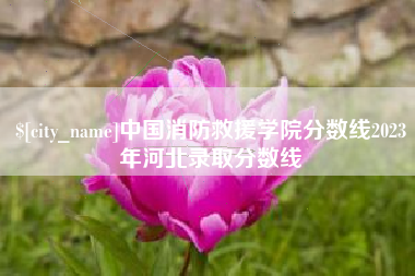 韶关中国消防救援学院分数线2023年河北录取分数线