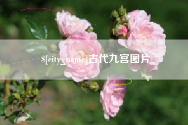 韶关古代九宫图片