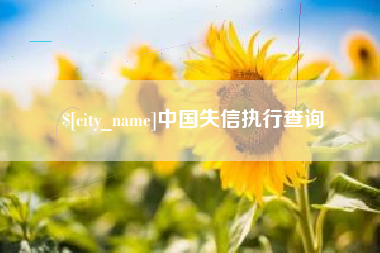 韶关中国失信执行查询