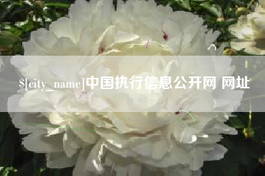 韶关中国执行信息公开网 网址