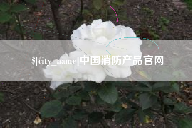 韶关中国消防产品官网