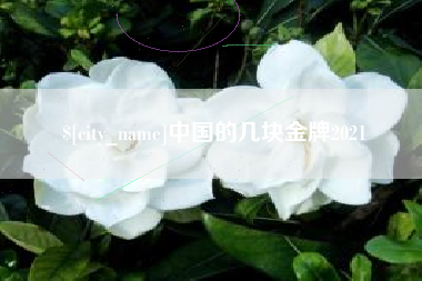 韶关中国的几块金牌2021