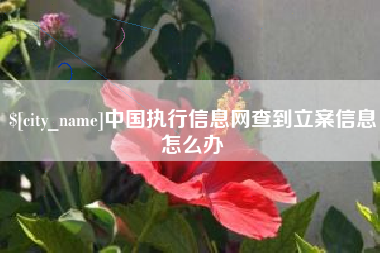 韶关中国执行信息网查到立案信息怎么办