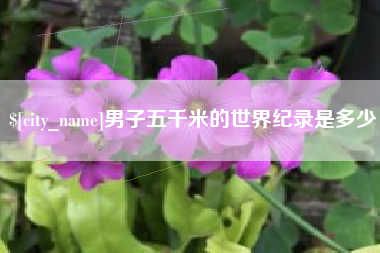 韶关男子五千米的世界纪录是多少