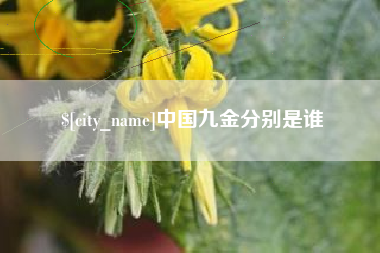 韶关中国九金分别是谁