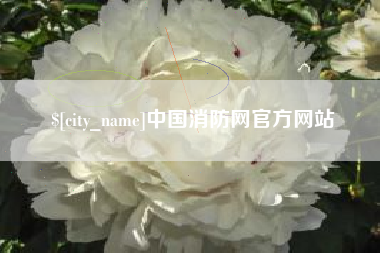 韶关中国消防网官方网站