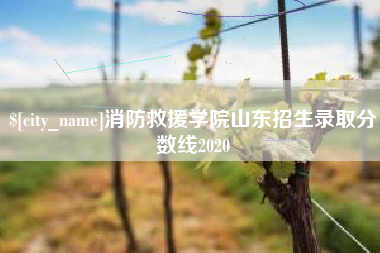 韶关消防救援学院山东招生录取分数线2020
