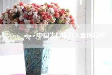 韶关中国失信执行人查询官网