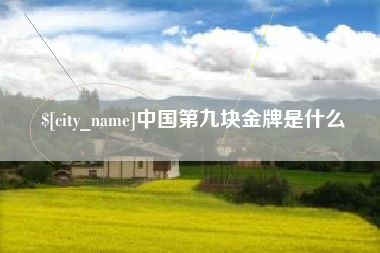 韶关中国第九块金牌是什么