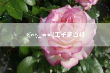韶关王子豪百科