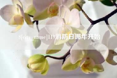 韶关119消防日哪年开始