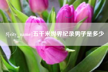 韶关五千米世界纪录男子是多少