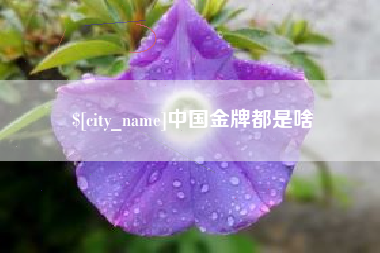 韶关中国金牌都是啥