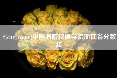 韶关中国消防救援学院浙江省分数线