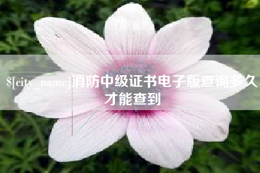 韶关消防中级证书电子版查询多久才能查到