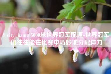 韶关5000米世界冠军配速-世界冠军们往往能在比赛中巧妙地分配体力