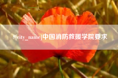 韶关中国消防救援学院要求