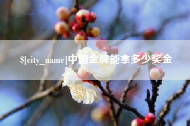 韶关中国金牌能拿多少奖金