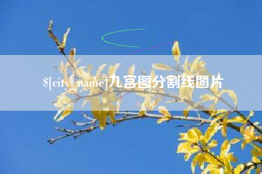 韶关九宫图分割线图片