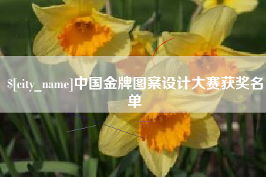 韶关中国金牌图案设计大赛获奖名单