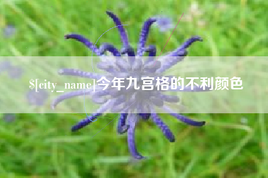 韶关今年九宫格的不利颜色