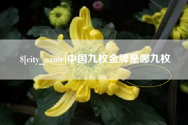 韶关中国九枚金牌是哪九枚